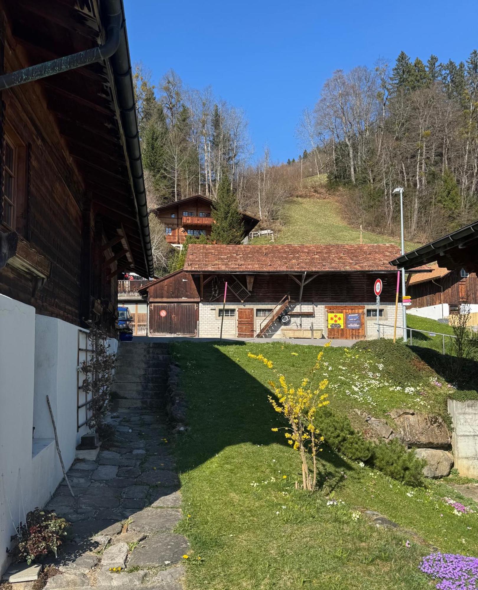 Studio Sternen ฮาลสิแบร์ก ภายนอก รูปภาพ